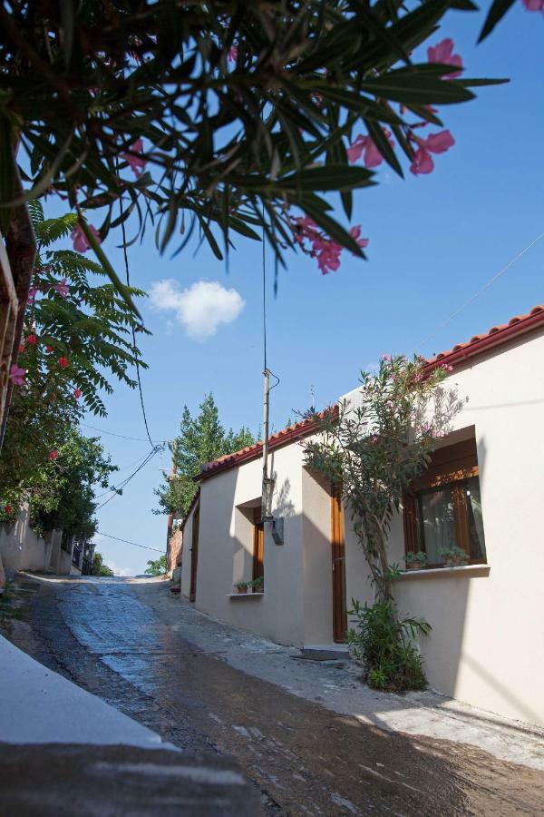 Antoni'S House Makri Villa อเล็กซานโดรโพลิส ภายนอก รูปภาพ